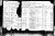 Ship's Manifest for Nechuma (Feuerstein) Hirsch, Rosa, Daniel, Jessel and Isadore