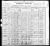 Federal Census 1900, Elek Klein family