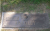 Headstone of William Bradley / Lillian J. Carpenter (F8644)