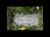 Headstone of Arthur Gamache